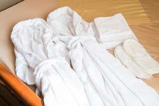 Виллы Villa Oselya Киев Вилла-121