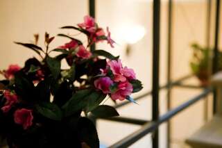 Виллы Villa Oselya Киев Вилла-52