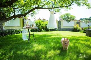 Виллы Villa Oselya Киев Вилла-64